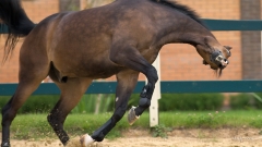 Директор туристической базы в РТ ответит перед судом за смерть школьницы
