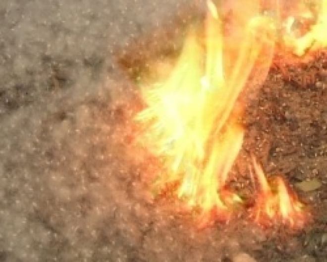 Тополиный пух горит – июнь!