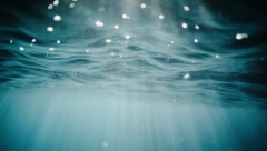 В субботу пройдет экскурсия по территории Голубых озер