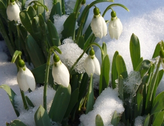 Погода в Казани побила вековой температурный рекорд