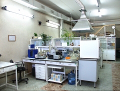 Новости  - Гендиректора научной компании Казани обвиняют в уклонении от налогов на 54 млн рублей