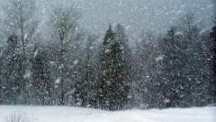 Новости  - МЧС предупредило татарстанцев о сильной метели