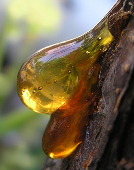 В Татарстане откроется производство сырья для эпоксидных смол