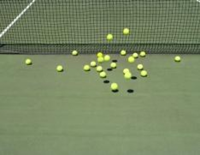 Спортивные клубы и секции Казани