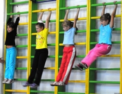 Новости  - Парадоксы «спортивной столицы»: Кабмин РТ ограничил набор в ДЮСШ