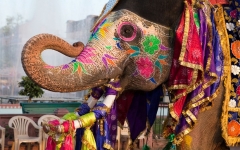 Новости  - Индия и Татарстан намерены сотрудничать в нефтехимии и фармакологии