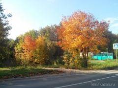 Новости  - Во вторник в Казани ожидаются дожди