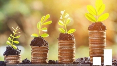 Новости  - Почему можно доверять кредитным кооперативам? Расскажем на примере компании «Финжир»