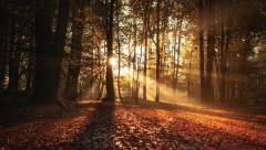 Новости Погода - Синоптики прогнозируют облачную погоду с прояснениями