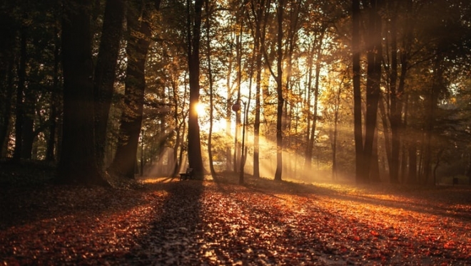 Синоптики прогнозируют облачную погоду с прояснениями