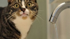 4 декабря будет отключено водоснабжение в Вахитовском районе города