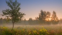 В РТ ожидается похолодание