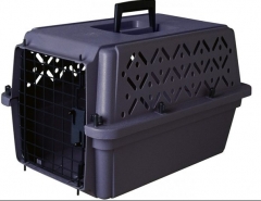 Новости  - Все для домашних питомцев