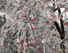 Новости  - Угроза ледяного дождя в Татарстане сохранится до 11 ноября