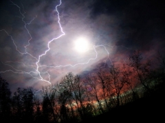 Новости  - В Татарстане объявили о высокой пожароопасности