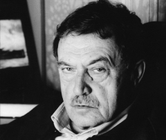 Новости  - В Казани планируют открыть парк имени писателя Василия Аксёнова