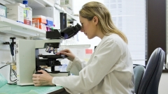 Новости  - В России запустили тест на коронавирусную инфекцию на дому