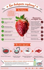 Новости Общество - Роспотребнадзор научил определять вкусную клубнику