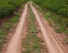 Новости  - Строительство, содержание и обслуживание дорог