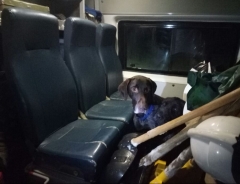 Новости  - 14-летнего татарстанца завалило снежной лавиной в 6-метровом овраге