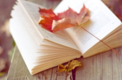 Новости  - 2 сентября «Литературный дворик» пройдёт на улице Батыршина