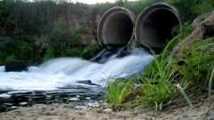 Новости Общество - Сточные воды привели к размножению сине-зеленых водорослей в водоемах РТ