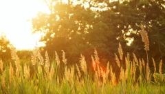 Сегодня по Татарстану не ожидается существенных осадков