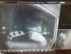 Новости  - В Казани задержали неудачливых «потрошителей» банкоматов