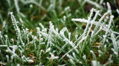 В Татарстане ожидаются сильные заморозки