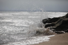 Новости  - На дне Каспийского моря татарстанские исследователи обнаружили останки флотилии Петра I