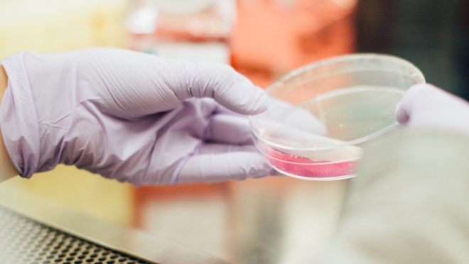 На территории России выявили первые случаи заболевания новым вирусом