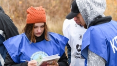 Новости Общество - В Казани началась перепись безнадзорных собак