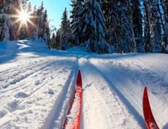 Новости  - В Татарстане потратят 66 млн рублей на строительство 11 новых лыжных баз