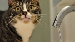 15 ноября в нескольких районах Казани отключат водоснабжение