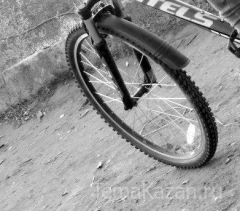 Новости  - Ночью в Казани на ул. Декабристов насмерть сбили молодого велосипедиста