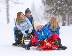 Новости  - После новогодних каникул у татарстанцев останется 112 дней отдыха