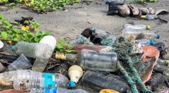 Новости Не проходите мимо! - 24 апреля в Казани пройдет экологический квест «Чистые игры»