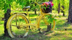 От казанцев в дар примут старые велосипеды для создания арт-инсталляции