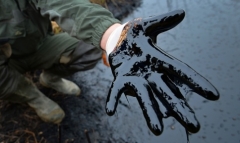 Новости  - Минэкологии РТ хочет взыскать с компании миллиардера Алексей Сёмина 68 млн руб. за порчу земель