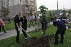 Новости  - В Казани начала работать горячая линия по посадке деревьев