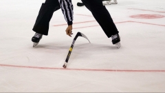 Новости  - Барсы обыграли новосибирскую «Сибирь»