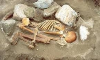 В центре Казани обнаружено таинственное захоронение младенца, старика и животного