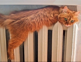 В Казани 28 апреля завершается отопительный сезон