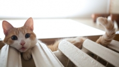 Новости  - Казань готова к старту отопительного сезона