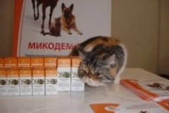Новости  - Лишай, чесотка и отит, животным больше не грозят