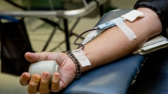 Новости Не проходите мимо! - В Казани пройдет весенняя донорская акция