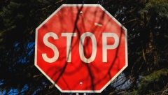 По улицам Дементьева и Михаила Миля продлили ограничение движения транспорта