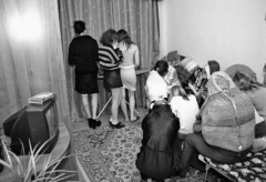 Новости  - Набережные Челны: местная жительница делала бизнес на несовершеннолетних путанах