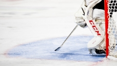 Новости  - «Барсы» стали победителями дивизиона Харламова досрочно