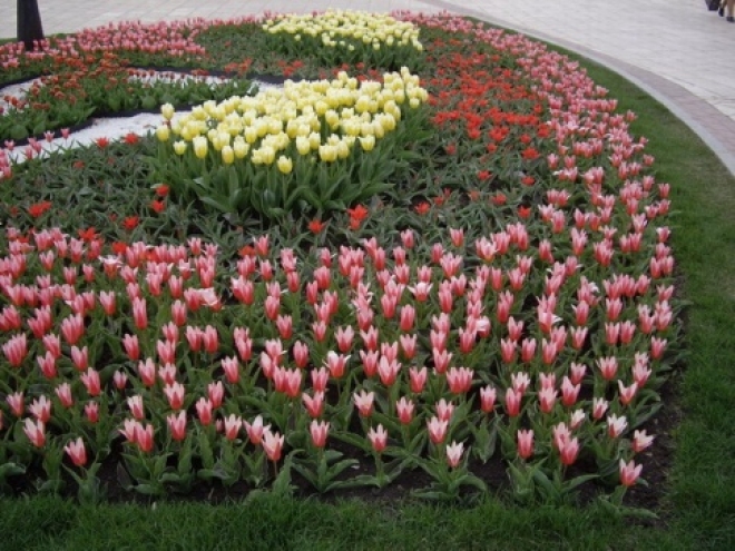 Каждому казанцу к Играм подарят по букету